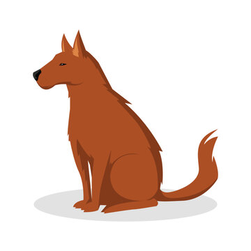 Simple Color Animal Vector Illustration Design