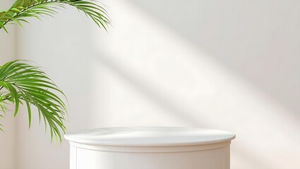 Fototapeta premium Minimal white wall with sunlight and plant shadow background