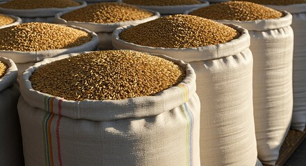 Abstract Agrarian Image with Bags of Grain in Agricultural Sector ,Concept of Good Harvest and Abundance in Farm Storage