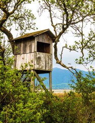 Wooden observation tower in a wooded area