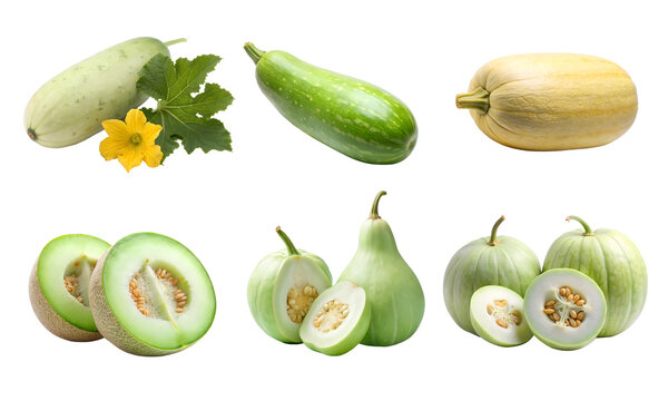 Set of fresh Ash gourd, Winter melon, White petha png  vegetables 