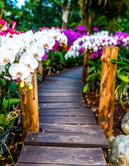 Wooden path winding through a vibrant orchid garden
