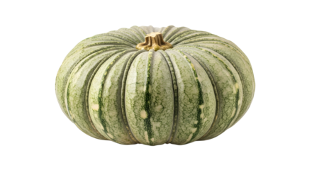 Isolated Green Pumpkin Still Life