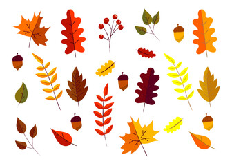 Collection of colorful autumn leaves and berries in various shapes and shades of orange, red, yellow, brown, and purple. Perfect for seasonal design, decorations, and fall-themed projects.