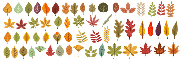 Obraz premium Colorful assortment of hand-drawn leaves in various shapes and autumnal hues—green, orange, red, and yellow. Playful, flat illustration style perfect for fall-themed designs.