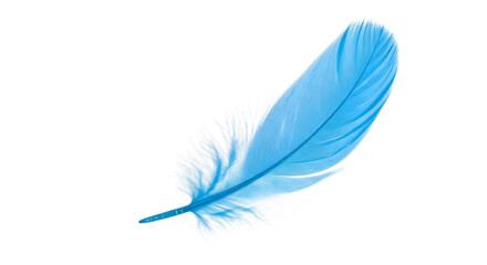 Light Blue Feather Isolated on Black