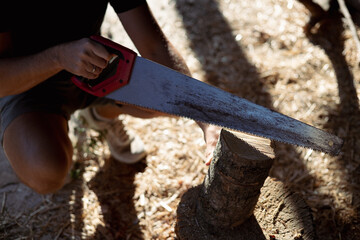 Person using a handsaw to cut through a wooden stump in a rustic outdoor setting during daylight hours