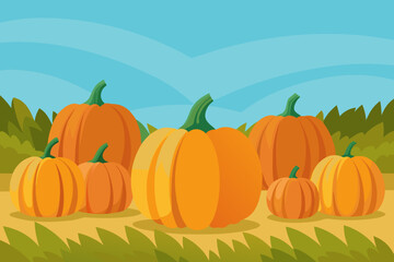 A group of orange pumpkins in a field under a blue sky