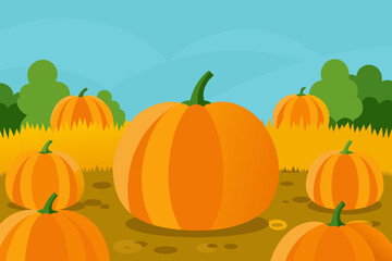 A vibrant autumn scene with pumpkins in a field