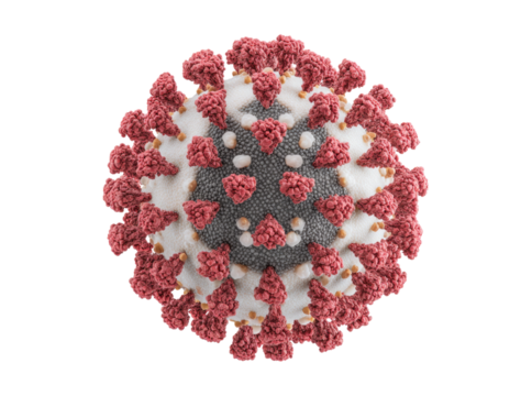 Microscopic 3d render of coronavirus sars cov 2 virus particle, Isolated On Transparent Background