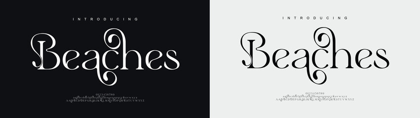 Beaches elegant Font Uppercase Lowercase and Number. Classic Lettering Minimal Fashion Designs. Typography modern serif fonts regular decorative vintage concept. vector illustration