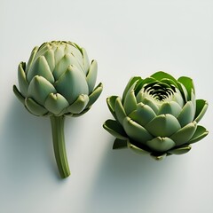 Fototapeta premium artichokes on a green background