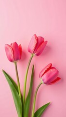 Fototapeta premium Delicate tulip petals on pale pink background, spring flowers, pastel