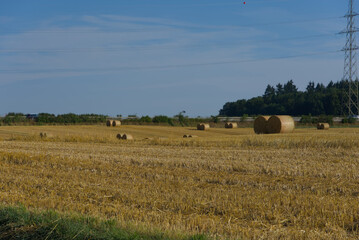 Obraz premium Round hay bales sit in a harvested field with a highway and trees in the background under a blue sky.