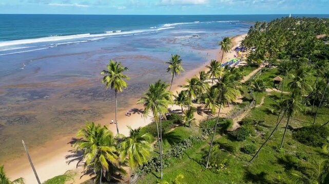 Aerial View of Praia do Forte Beach With Rocks Along the Coast in Bahia State in Brazil