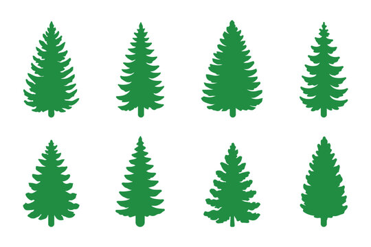 Forest trees set. Isolated vector silhouette. Coniferous forest. Christmas tree, fir-tree, pine, pine-tree, Scotch fir, cedar