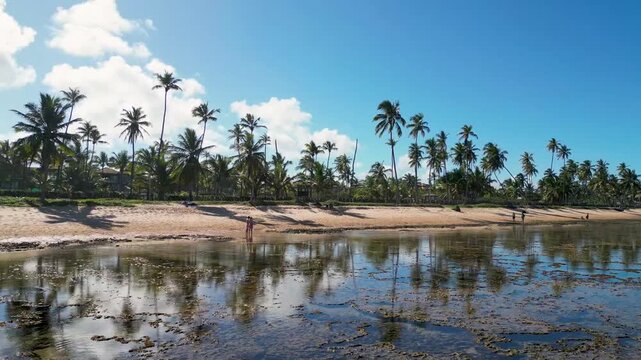 Rocky Sea Bottom of Praia do Forte Beach Near Salvador City in Bahia State in Brazil