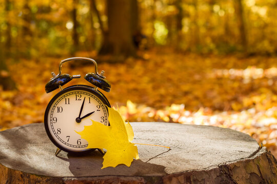 Alarm clock with a yellow maple leaf placed on a tree stump in a sunlit autumn forest with a blurred background. Symbolic image representing daylight saving time and fall season change