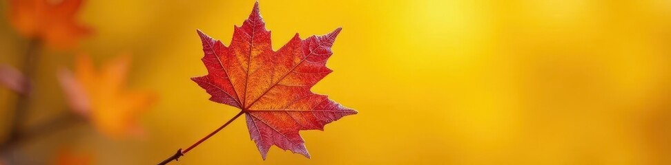 Obraz premium Frosted maple leaf, crisp detail, vibrant yellow backdrop, autumn, photography, detail