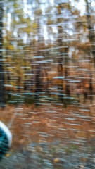 Blurry autumn forest landscape seen through moving vehicle window