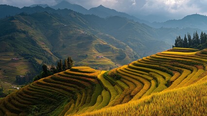 Rice Terraces, Golden Hour, Valley, Landscape, Sunrise, sunset, rice fields, golden time, Asian landscape, nature, scenic, travel, agriculture, rural, beautiful, serene, peaceful, tranquil, green, far