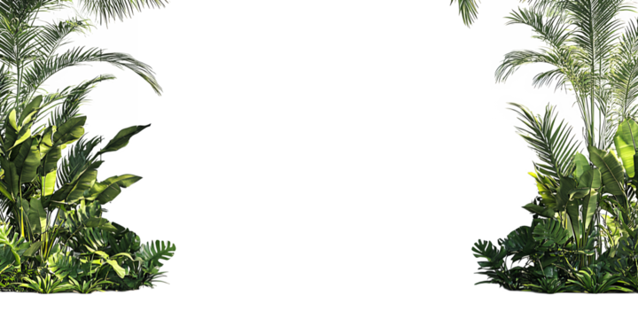 Dark silhouette of a human head and shoulders framed by lush green tropical foliage isolated on transparent background