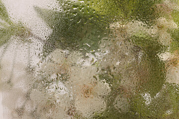 Smoke soft focus green, beige pink leaf and  flower bouquet through glass with wet water drops. Abstract natural blur background.
