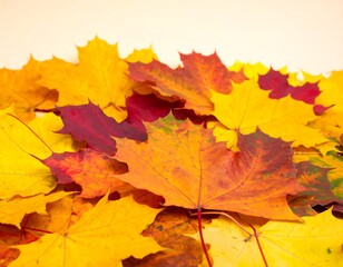Autumn leaves in a pile