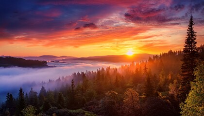 stunning sunset over a misty forest with vibrant colors and dramatic sky