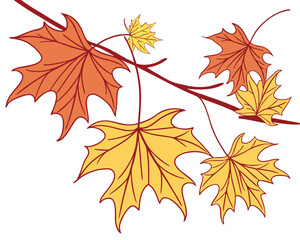 Illustration of colorful maple leaves on a branch signifying autumn and the beauty of nature artistic vector graphic
