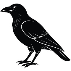 raven bird silhouette vector icon