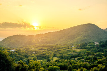 Fototapeta premium Italian sunset over a valley with green rural vineyard landscape by hills and mountains in summer