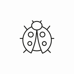 ladybug insect bug icon sign vector