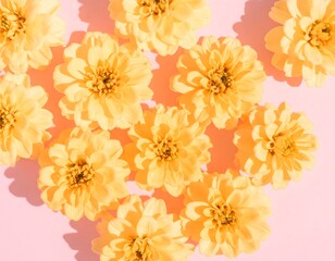 Pale yellow flowers arranged on a pastel pink surface