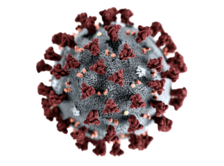 Microscopic view of a coronavirus particle detailed 3d render, Isolated On Transparent Background