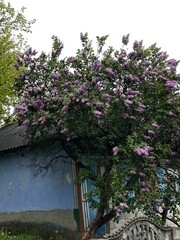 Old Orhei, Chisinau, Republic of Moldova-24 April, 2024:Excursion to Old Orhei Moldavian archaeological and historical complex located in Trebujeni near Chisinau, Republic of Moldova.