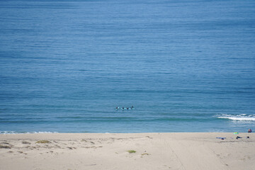 blue water of the ocean beach in the morning, surfers
