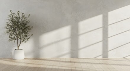 Minimalist interior with olive tree in a white pot, natural light and wooden floor, creating a serene and inviting atmosphere, perfect for home decor and design concepts.