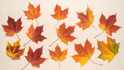 Obraz premium Autumn leaves arranged on a light beige background