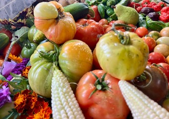 Flat lay of heirloom vegetables including hot peppers, tomatoes, and colored corn