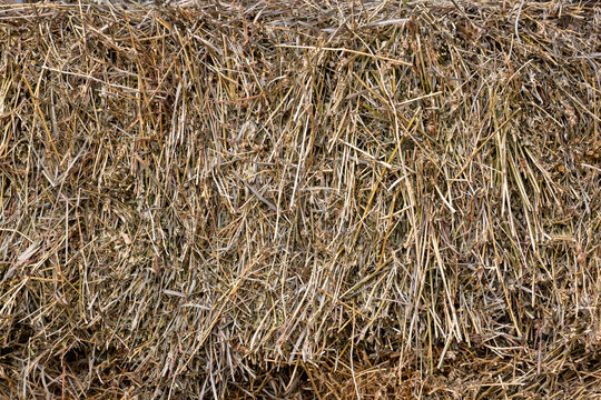 Hay bale texture background showing close up detailed view of dried agricultural straw