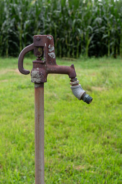 Galvanized Outdoor Water Spigot - Old Rusty Standing Hydrant on Green Grass - For Gardening or Livestock Watering