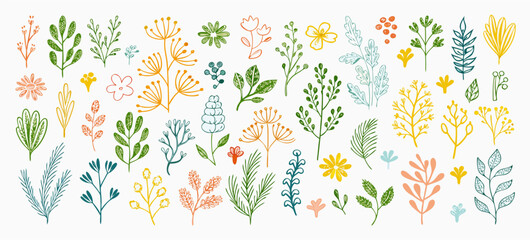 Hand-drawn Floral Elements: Botanical Illustrations, Leaves & Flowers