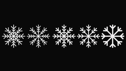 Collection of Symmetrical Snowflake Illustrations on a Dark Background