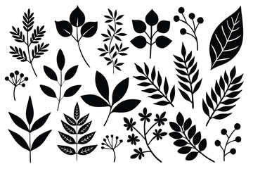 Creative black leaf silhouettes perfect for botanical illustrations or design projects.