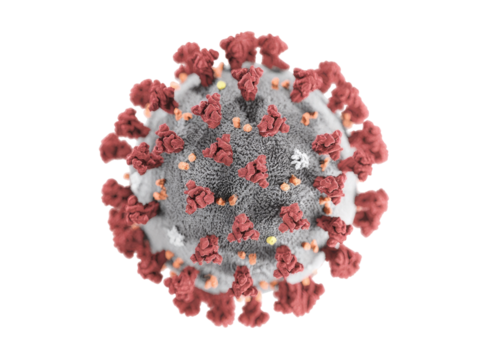 Microscopic view of coronavirus sars cov 2 virus particle, Isolated On Transparent Background