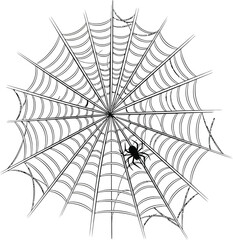 Obraz premium Simple illustration of a spiderweb with a spider perfect for halloween themes