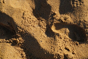 texture of the sand