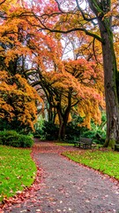 Naklejka premium Autumnal park pathway
