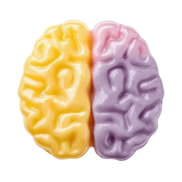 Spooky candy shaped like brain with vintage holiday vibe on transparent background